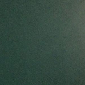 Meet your Posher, Henrietta